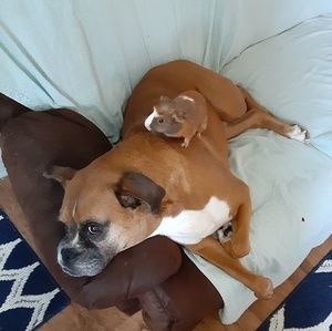 Meet your Posher, Isaiah